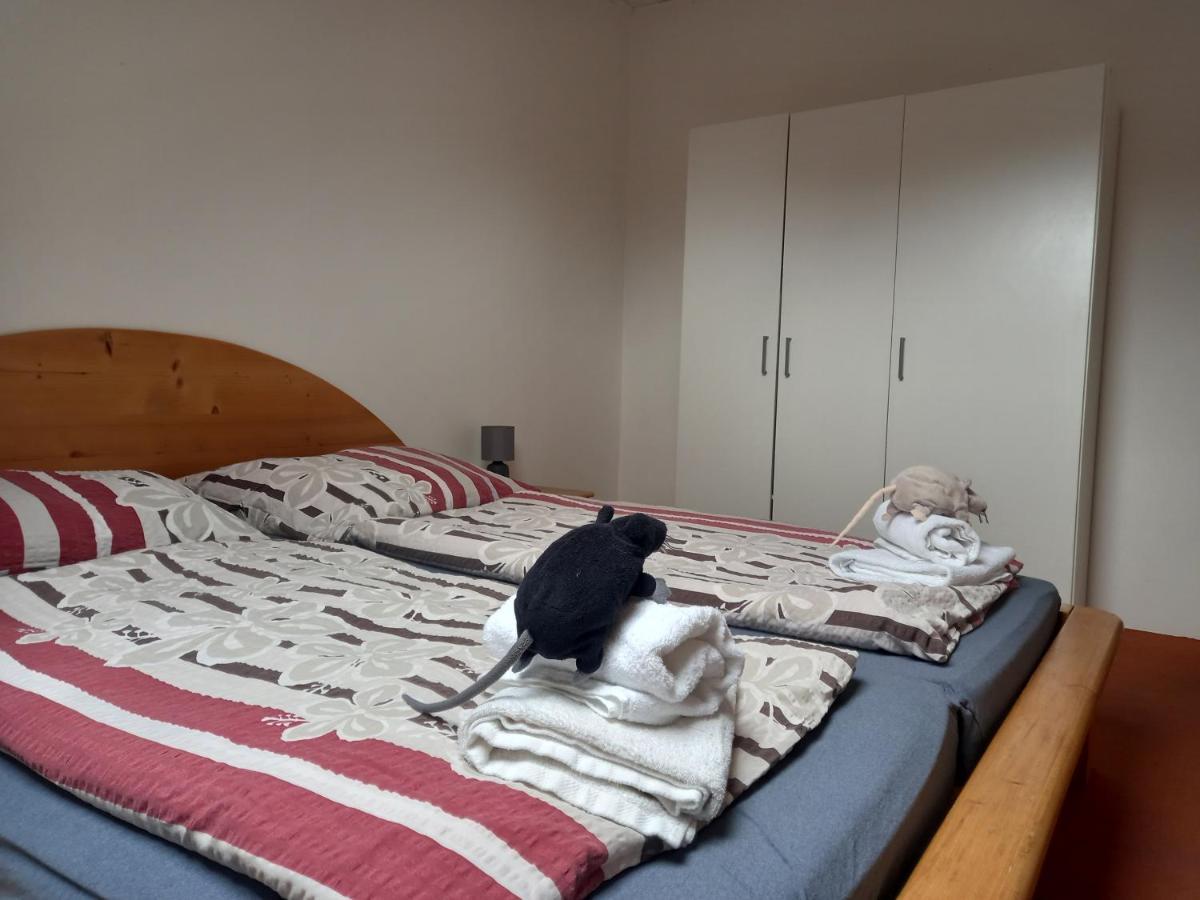 Apartament Mysi V Bote Lipno Lipno nad Vltavou Zewnętrze zdjęcie