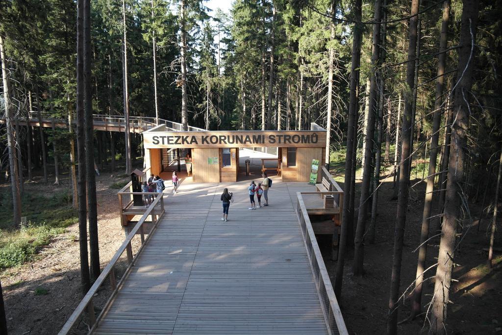 Apartament Mysi V Bote Lipno Lipno nad Vltavou Zewnętrze zdjęcie