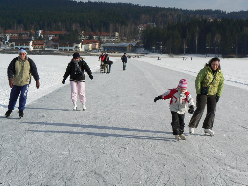 Apartament Mysi V Bote Lipno Lipno nad Vltavou Zewnętrze zdjęcie
